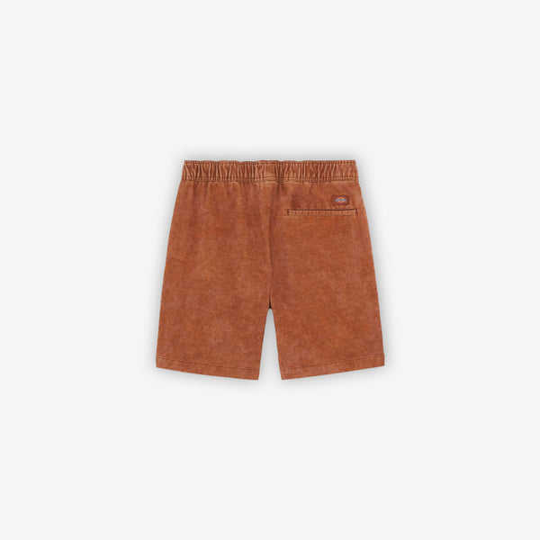 Dickies Chase Short
